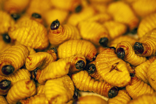 Maden Achtergrond, visaas, voeder, voor de visserij, gebakken insecten  - Foto, afbeelding