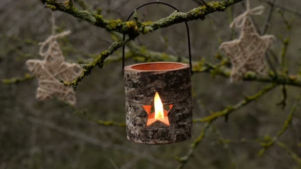 Magiczna drewniana latarnia świec z oświetleniem świecy w tajemniczym lesie. - Materiał filmowy, wideo