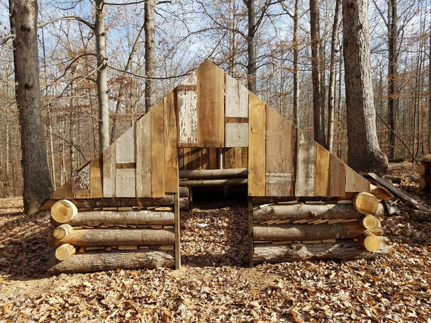 cabaña o estructura de madera o troncos en el bosque o en los bosques - Foto, imagen