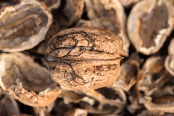 One complete walnut with cracked walnut shells. Pieces of nutshells. Close up. - Photo, Image