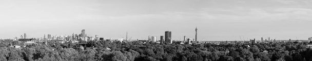 Szeroki widok panoramiczny Londynu z Primrose Hill, czarny i biały - Zdjęcie, obraz