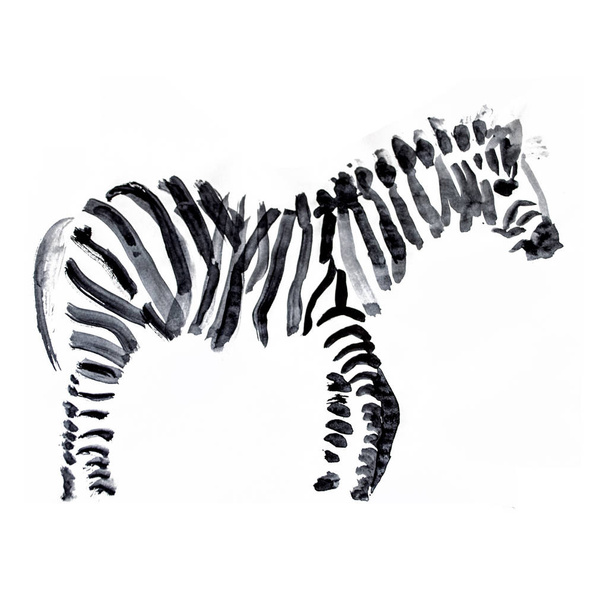 Zebra rajz művészi fekete szempillaspirállal. - Fotó, kép