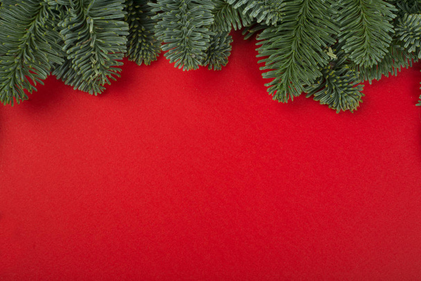 赤のクリスマスモミの木 - 写真・画像