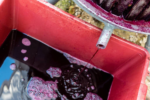 Houten wijnpers met rode most voor het persen van druiven - Foto, afbeelding