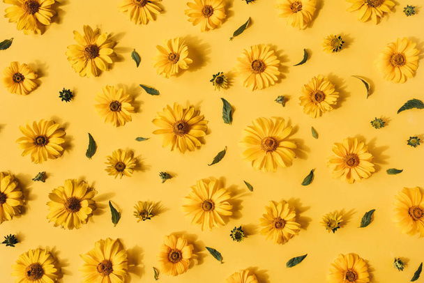 Flat lay yellow daisy flower buds pattern on yellow background. Top view floral texture. - Фото, зображення