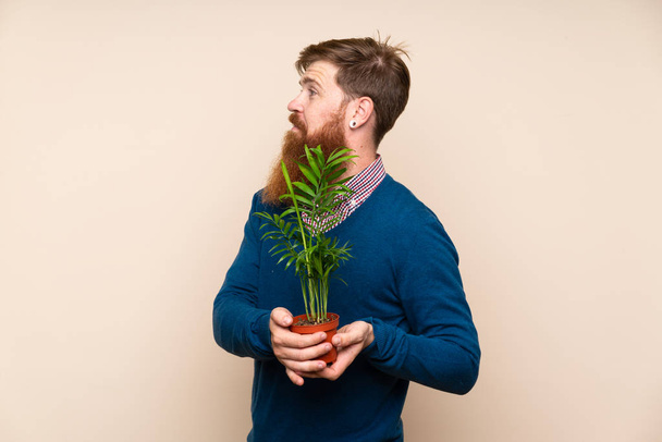 Redhead man with long beard over isolated background taking a flowerpot - Foto, imagen