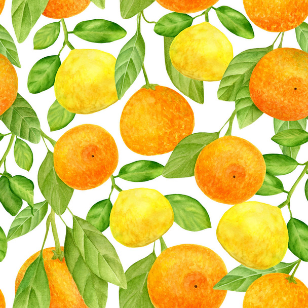 Watercolor citrus seamless pattern. Hand drawn botanical illustration of mandarins, tangerines and lemon fruits with leaves. Plants isolated on white background for design, textile, package, wrapping. - Foto, immagini