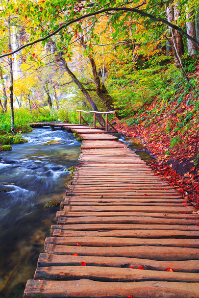 Meşhur Plitvice gölleri ve güzel sonbaharı olan ahşap patikalar.  - Fotoğraf, Görsel