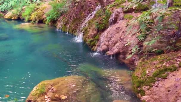 Красочные удивительные воды в озере или пруду и красота природы вокруг
 - Кадры, видео