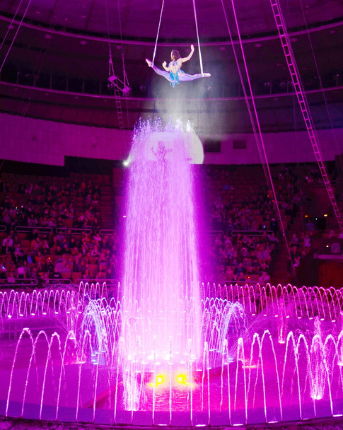 fontána v cirkuse - Fotografie, Obrázek
