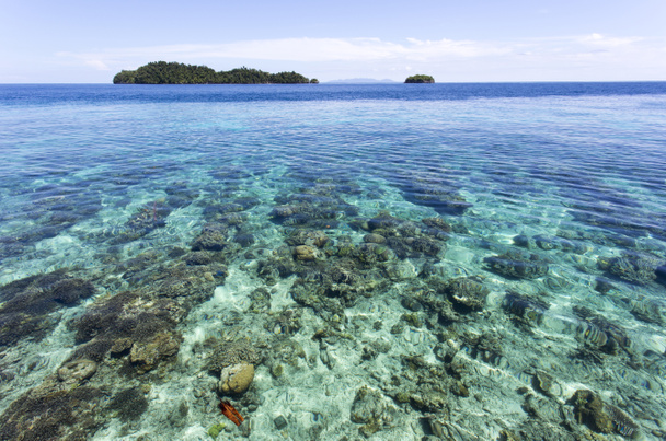 Prachtige zee voor de Togian eilanden - Foto, afbeelding