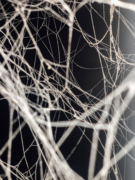 white spider web on a black background - Фото, изображение