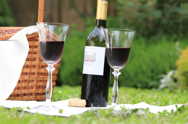 picnic con vino - Foto, Imagen