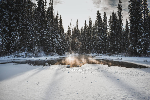 Park Narodowy Banff, Alberta, Kanada - Zdjęcie, obraz