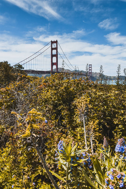 The Golden Gate Bridge, San Francisco,カリフォルニア州,アメリカ - 写真・画像