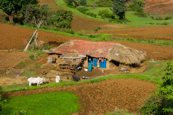 indické zemědělství Společenství - Fotografie, Obrázek