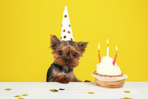 Cute Yorkshire terrier dog with birthday cupcake at table against yellow background - Photo, image
