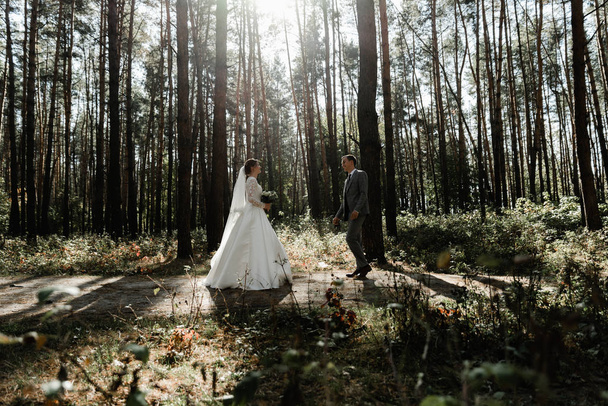 Attractive couple celebrating their wedding in forest. Portrait of young happy groom and bride in wedding clothes standing together, holding hands and looking at each other - Фото, изображение