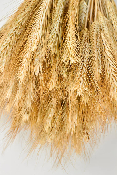 Bunch of wheat ears, top view. - Photo, Image