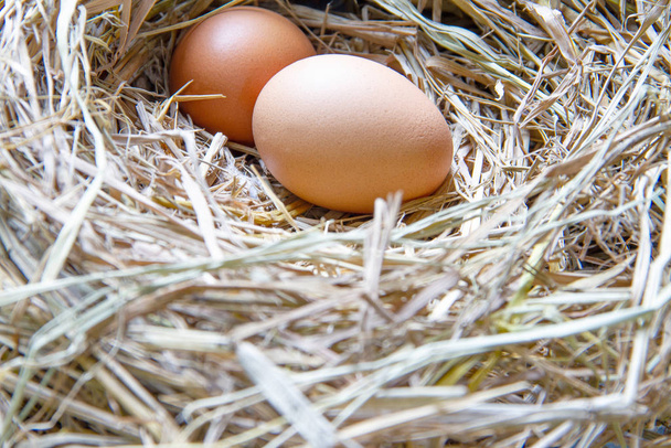 Huevos de pollo en el ovario
 - Foto, imagen