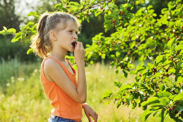 Girl with pleasure eating delicious sweet ripe berries from mulberry tree - Zdjęcie, obraz