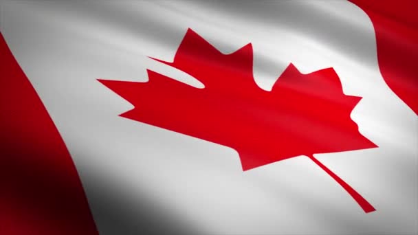 Σημαία του Καναδά. Κυματιστή σημαία με εξαιρετικά λεπτομερή υφασμάτινη υφή αδιάλειπτη βρόχο βίντεο. Απρόσκοπτη θηλιά με εξαιρετικά λεπτομερή υφασμάτινη υφή. Βρόχος έτοιμος σε ανάλυση 4k - Πλάνα, βίντεο