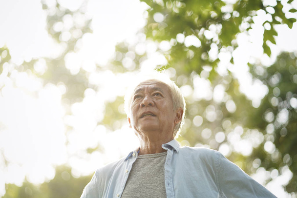 Parkta yürüyen Asyalı yaşlı adam. - Fotoğraf, Görsel