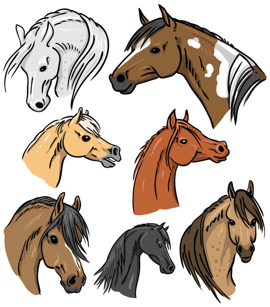 συλλογή πορτρέτων άλογο - Διάνυσμα, εικόνα
