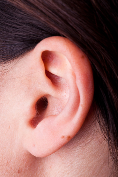 női fül - Fotó, kép