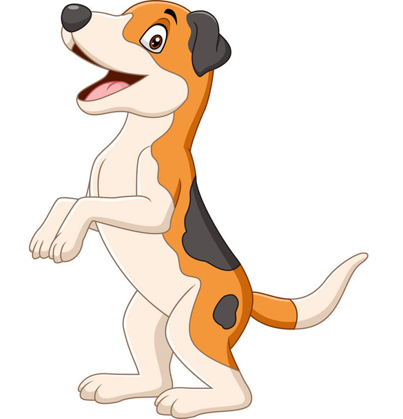 Vector illustration of Cartoon funny dog standing on white background - Διάνυσμα, εικόνα