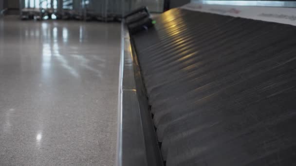 Два чемодана коричневые и черные, приближаются на конвейерной ленте в аэропорту
 - Кадры, видео