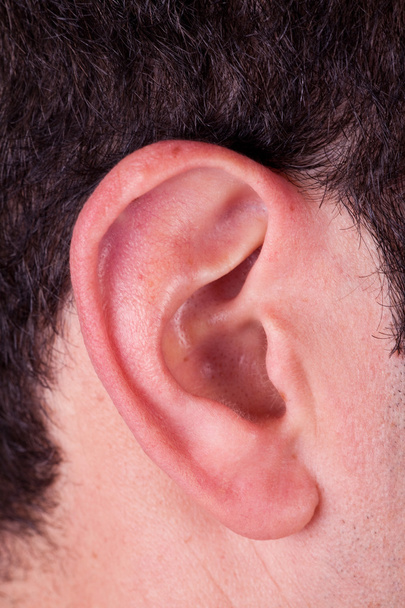 orecchio maschile
 - Foto, immagini
