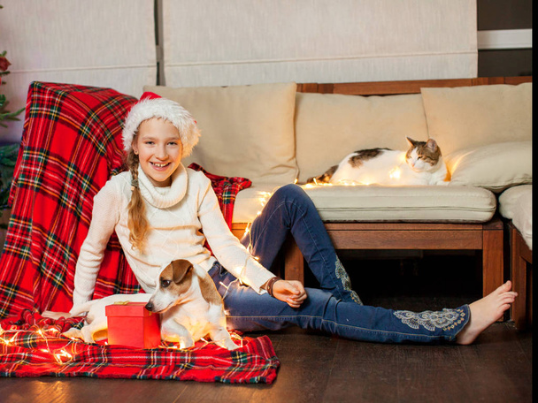 Smiling girl with pets near christmas tree at home - Photo, image