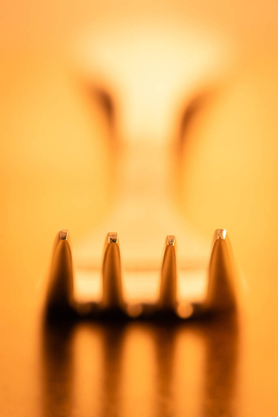 Μακρο πιρούνι με θολή φόντο - Φωτογραφία, εικόνα