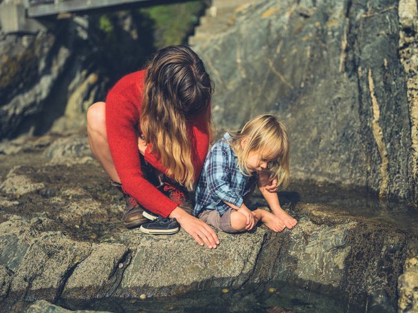 A mother and her toddler are studying a rock pool - Foto, afbeelding