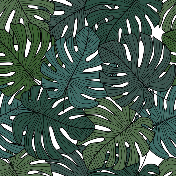 Monstera leaves seamless pattern on white background. - Vector, Image