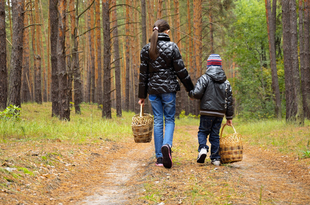Children go looking for mushrooms on a footpath - Photo, Image