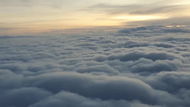 vliegen boven de wolken in de ochtendzon - Video