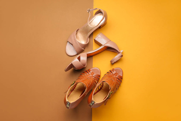 Stylish female shoes on color background - 写真・画像