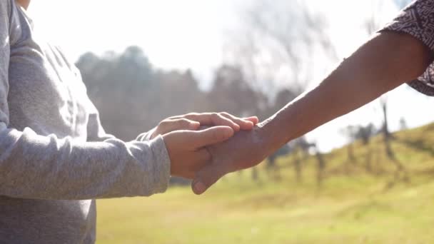 close-up van senior vrouw en jonge vrouw het houden van handen bij elkaar over natuur achtergrond. - Video