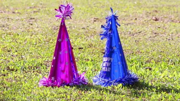 Nowy Rok imprezowy kapelusz czytuje umieszczony na jasnej zielonej trawie z łagodnym ciosem na słońcu świecącym dniu. - Materiał filmowy, wideo