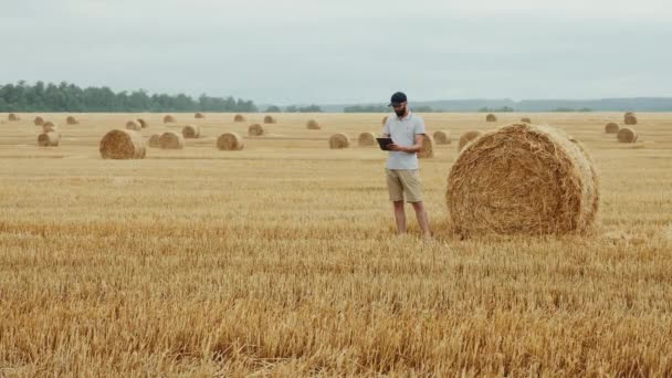 Farmář používá digitální tablet, pole se stohy sena - Záběry, video