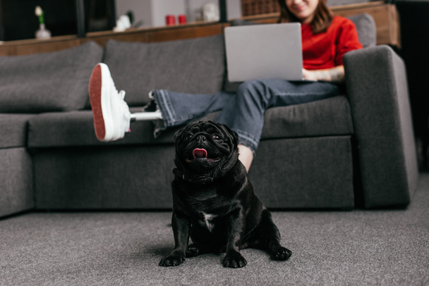 Selective focus of funny pug sitting by girl with prosthetic leg and laptop in living room, cropped view - Fotó, kép