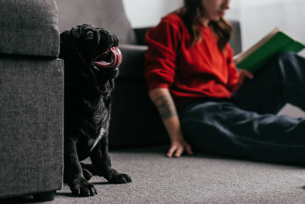 Selective focus of funny pug sitting by girl with book on floor in living room - Photo, Image