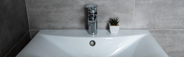 Panoramiczne ujęcie umywalki z rośliną w nowoczesnej toalecie - Zdjęcie, obraz