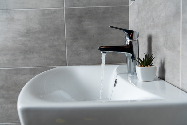 Water flow from sink to ceramic washbasin with plant in modern restroom - Photo, Image