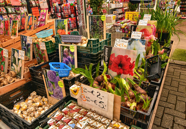 amsterdam, holland, august 2019. der blumenmarkt ist eine attraktion - Foto, Bild