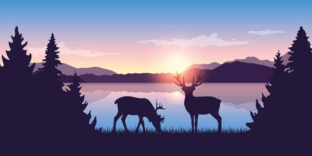 kaksi poroa järven rannalla auringonnousun aikaan luontomaisema
 - Vektori, kuva