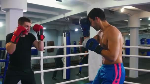 Box trénink - dva muži mají tréninkový zápas na boxerském ringu - Záběry, video