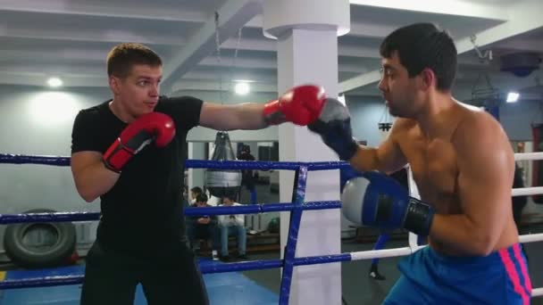 ボックストレーニング-ボクシングリングで戦いを持っている2人の男性 - 映像、動画